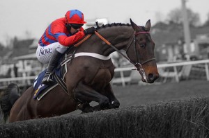 Sprinter_Sacre